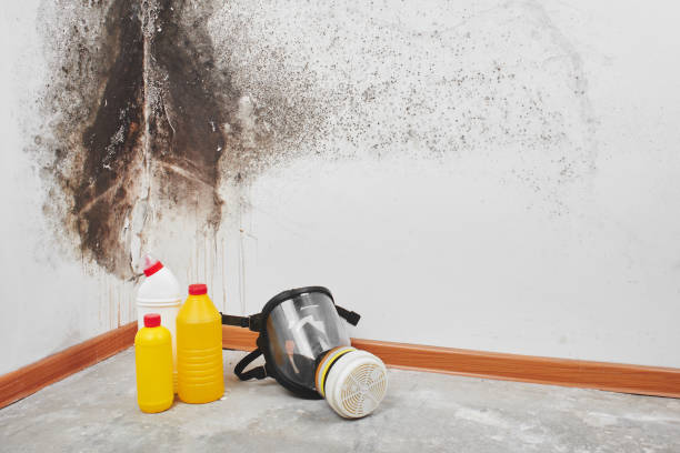Best Crawl Space Mold Removal  in Baird, TX
