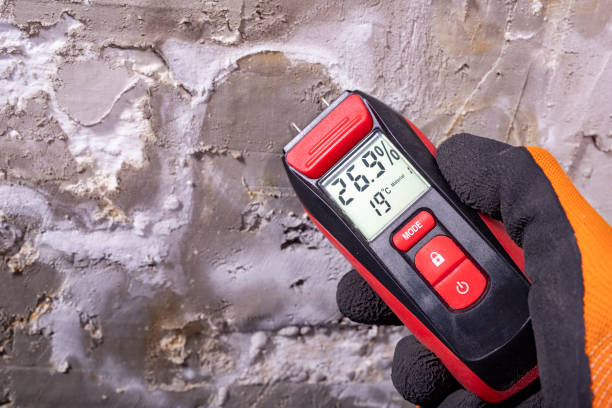 Best Certified Mold Removal  in Baird, TX