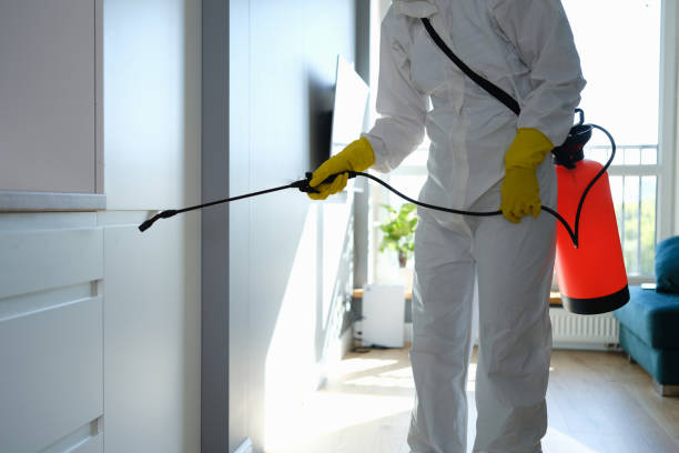 Best Mold Remediation  in Baird, TX