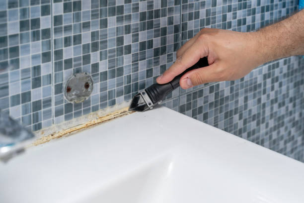 Best Mold Removal Near Me  in Baird, TX