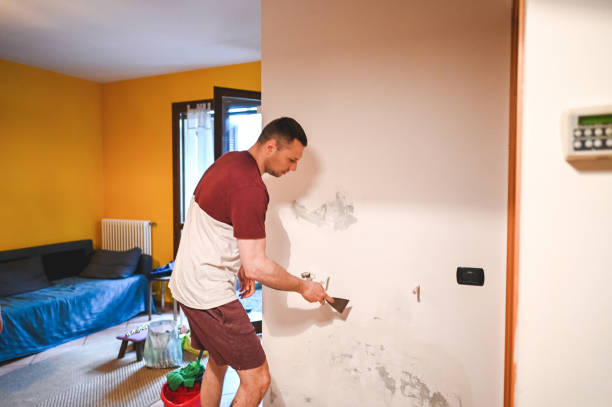 Best Same-Day Mold Removal  in Baird, TX