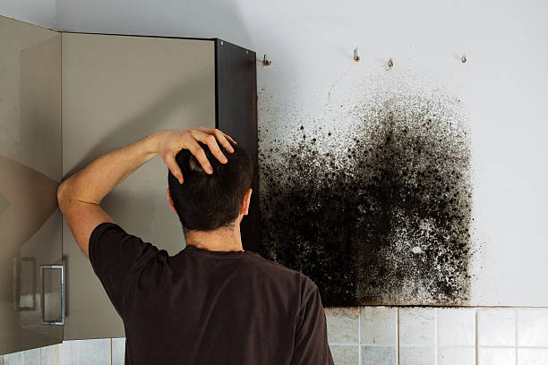 Best Emergency Mold Removal  in Baird, TX
