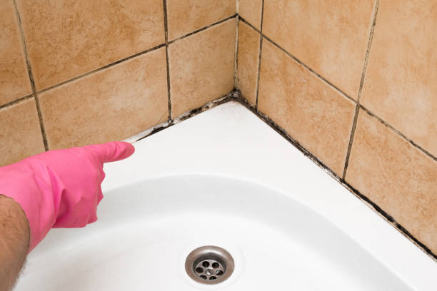 Crawl Space Mold Removal in Baird, TX